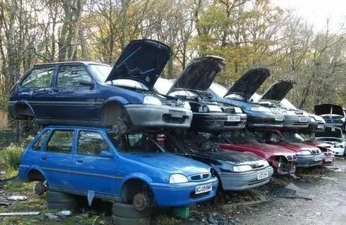 1709708736756267.jpeg c4f8e9451cbc6fb7b52e1a669cc4177e.jpeg